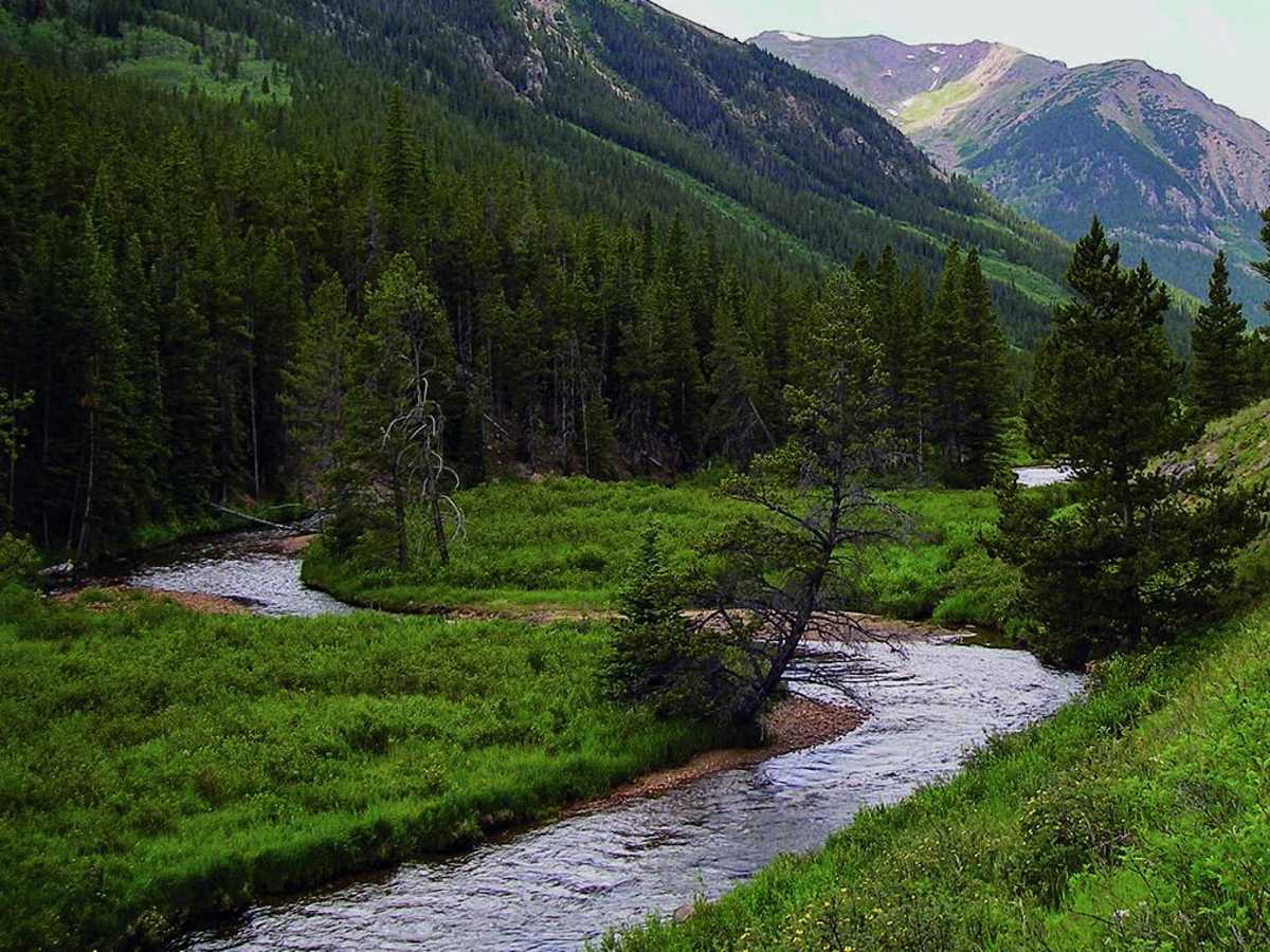 Halfmoon Gulch photo 4