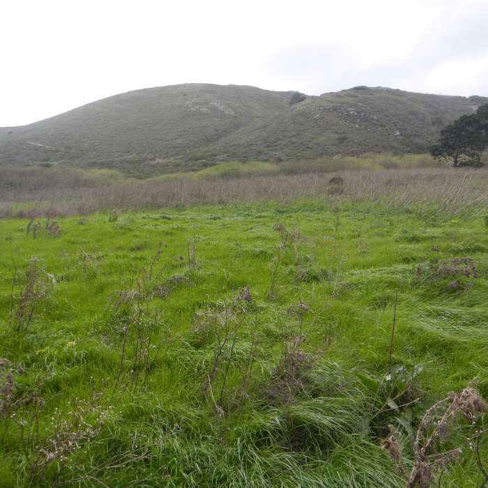 Near Tennessee Valley Trail