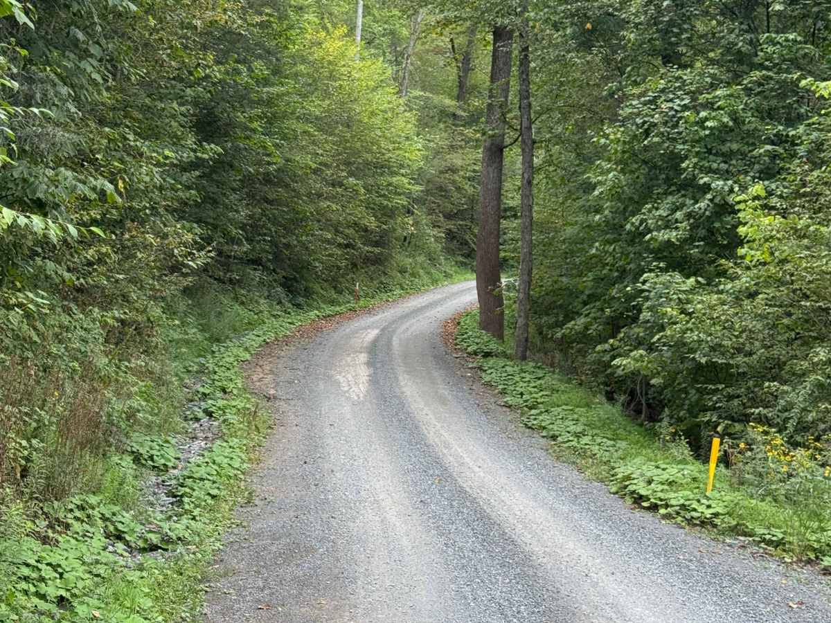 Hagerman Run Road photo 3