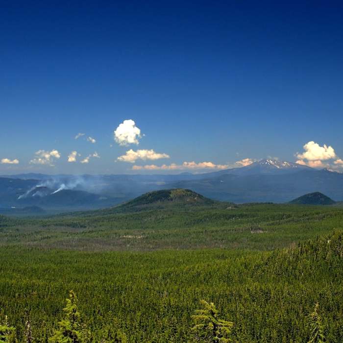 Near Mount Thielsen Trail #1456