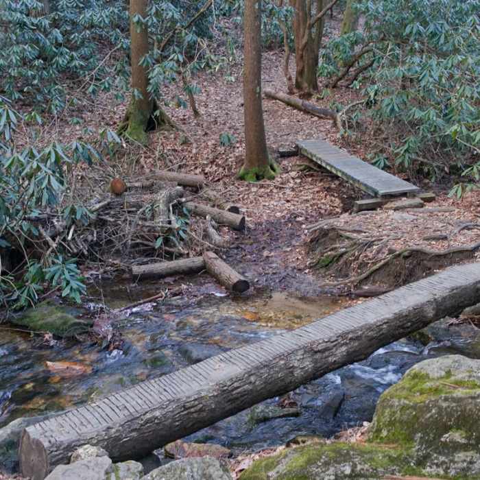 Near Springer Mountain Loop via Three Forks