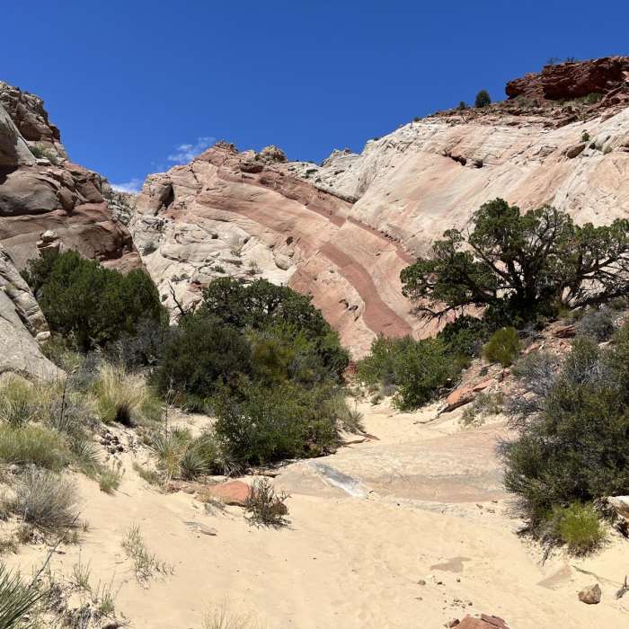 Near Headquarters Canyon Trail