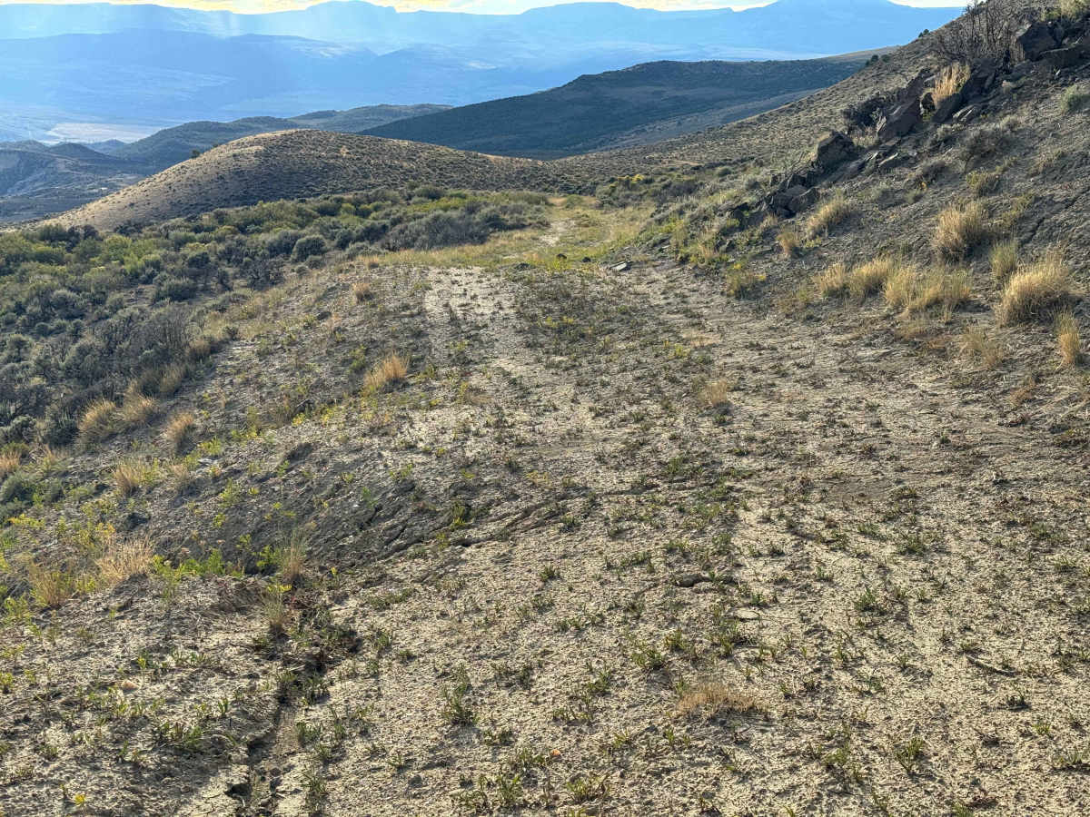 BLM 8534 photo 4
