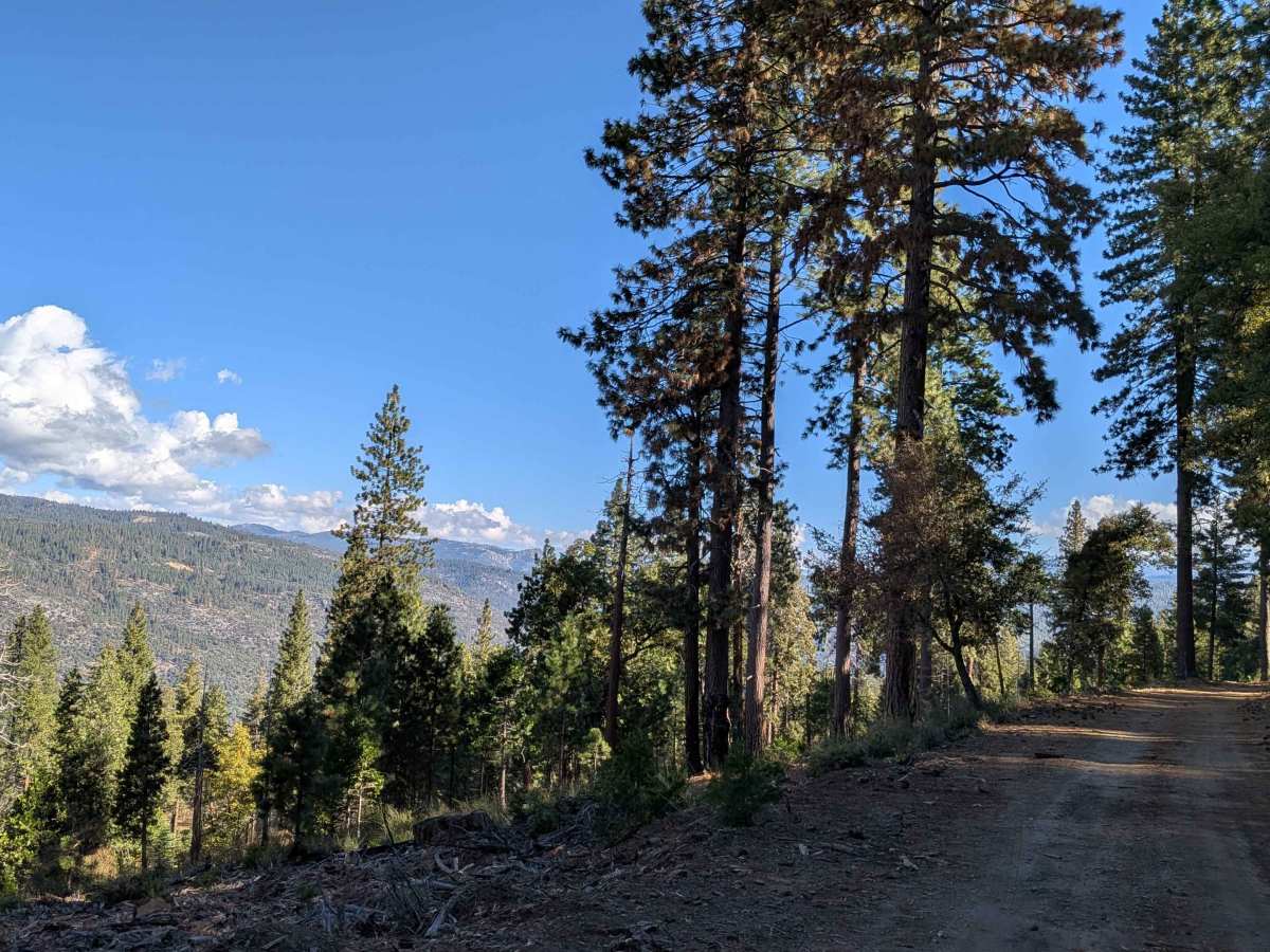 Spring Gap Road - FS 4N14 photo 5