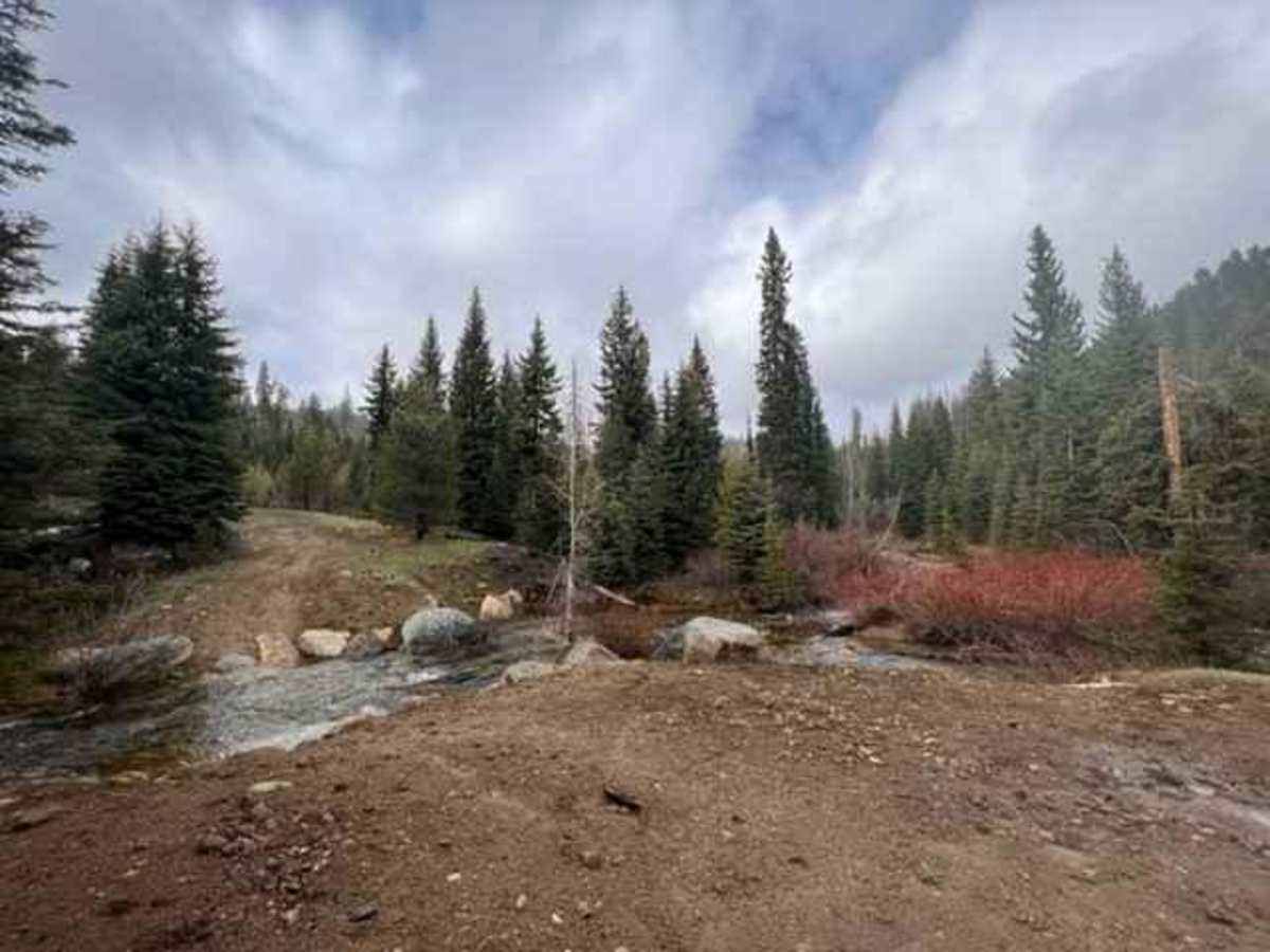 Full Creek Crossing trail photo
