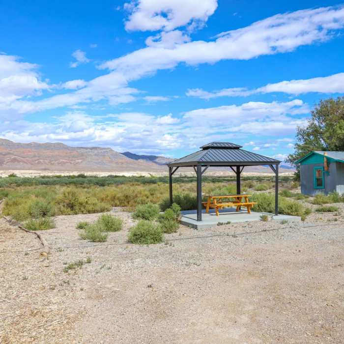 Near Shoshone Wetlands Birding Trails