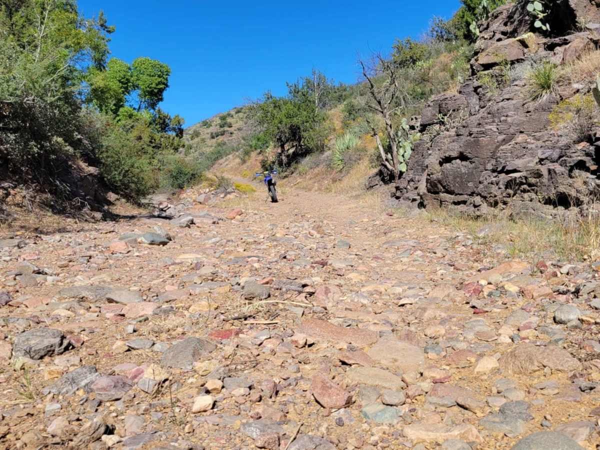 Walnut Spring Trail photo 2