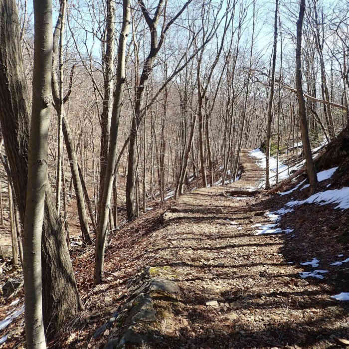 Near West Mountain Loop