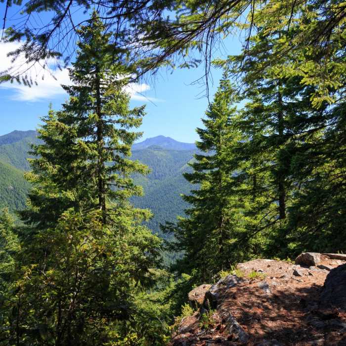 Near Henline Mountain