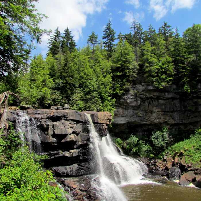 Near Blackwater Falls Boardwalk Trail