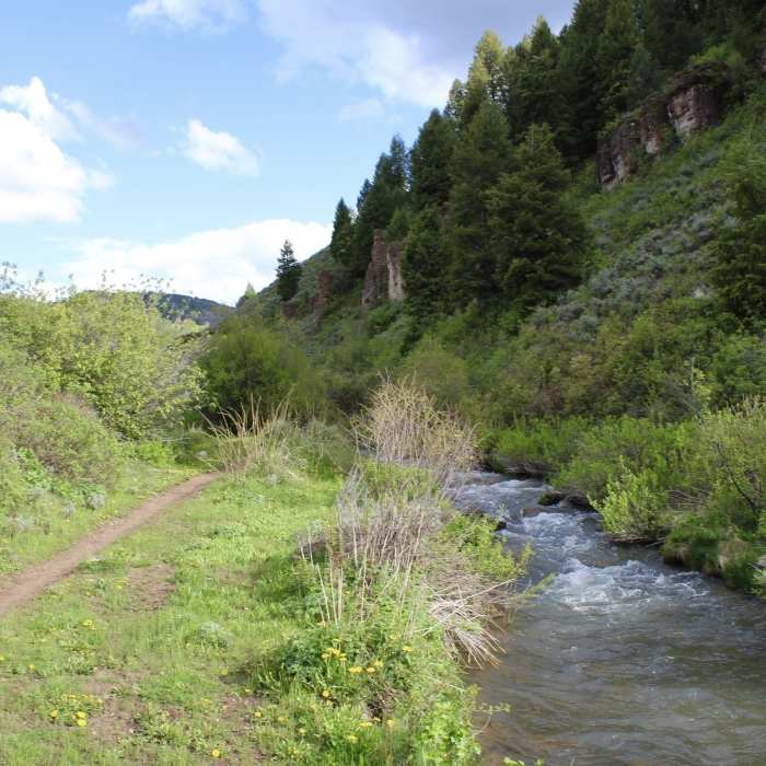 Near Temple Fork Sawmill #062
