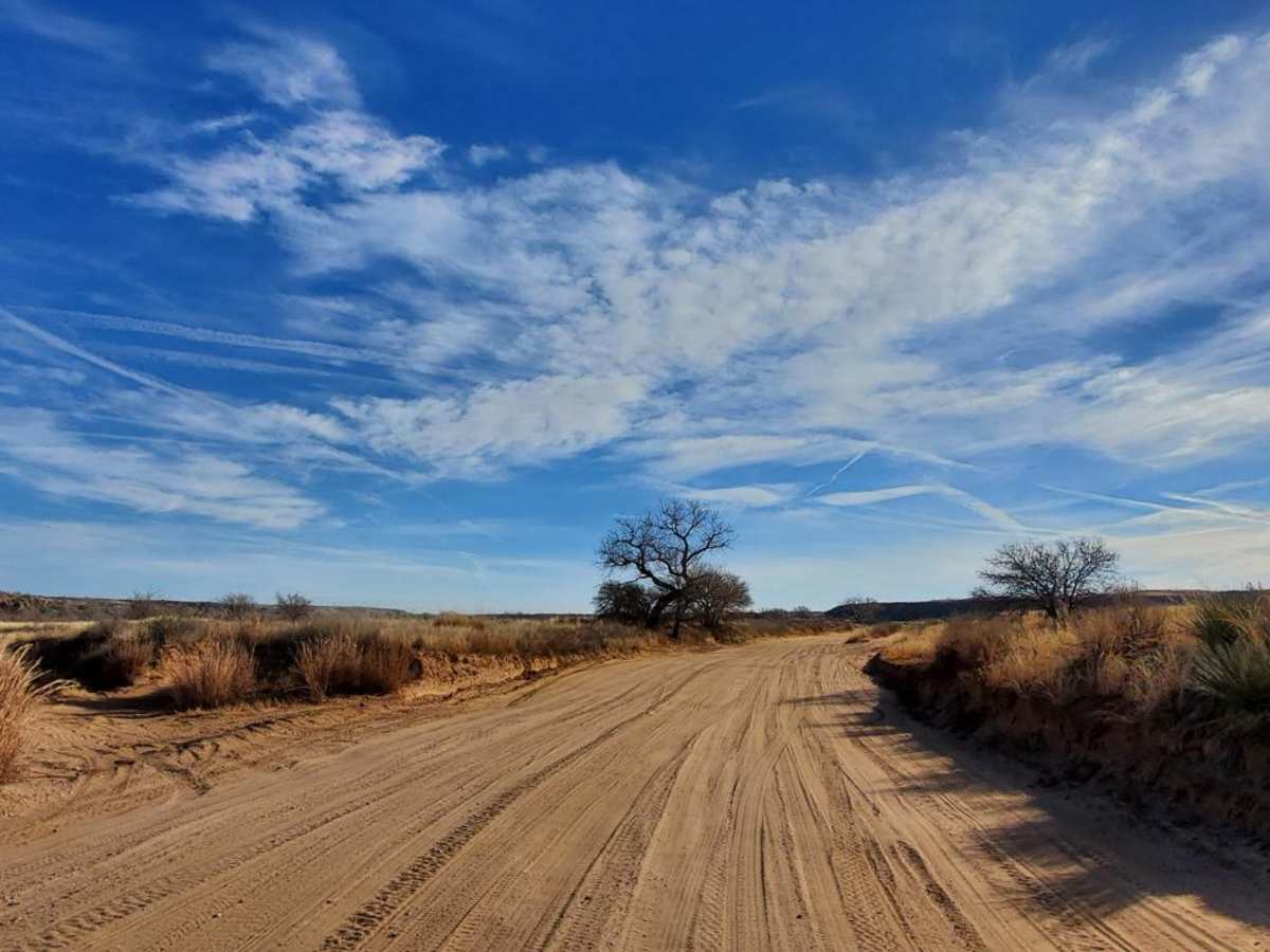 The Main Road photo 3
