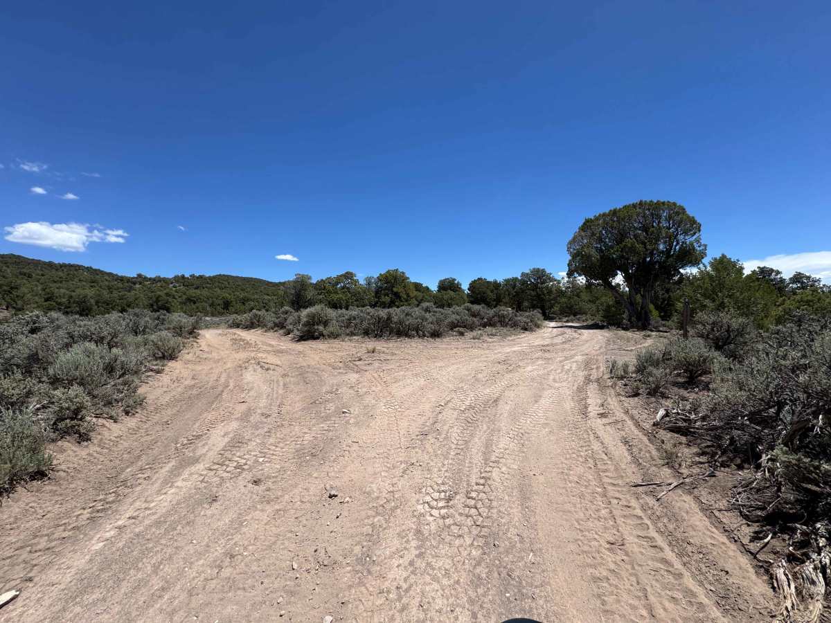 BLM 8470 photo 4