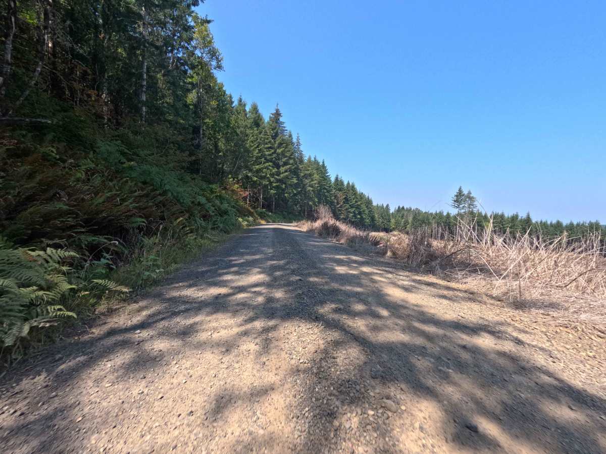 Gifford Pinchot - W1000 photo 5