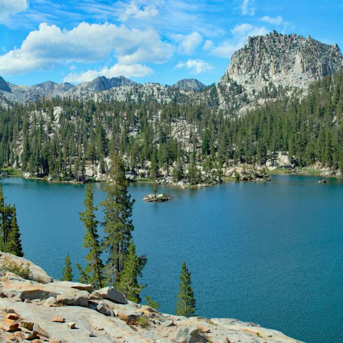 Near Big Margaret Lake Trail #26e18