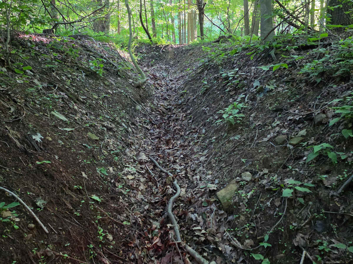Single Track C1 photo 6