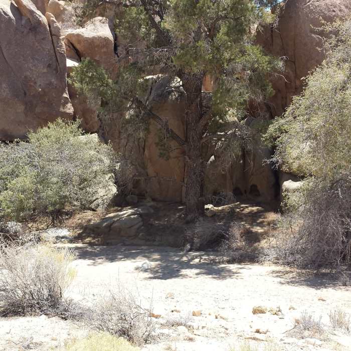 Near Lucky Boy Vista