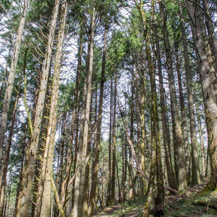Near Ridgeline Trail System: Fox Hollow Trailhead