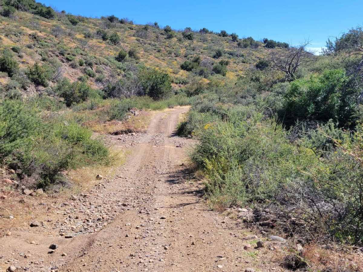 Walnut Spring Trail photo 4