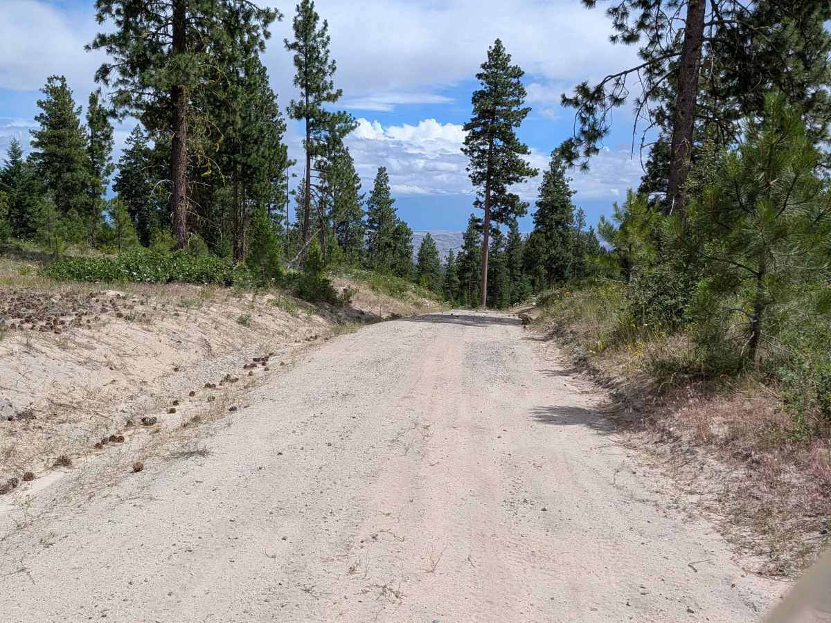 Woody Mountain Road photo 6