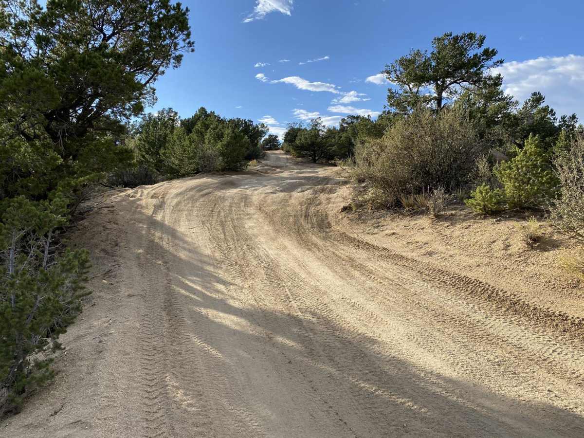 BLM 376 photo 3