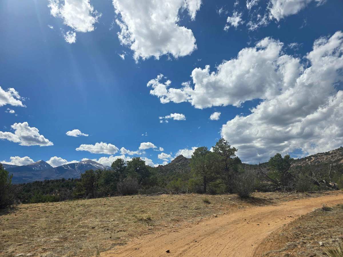 BLM 6210 trail photo