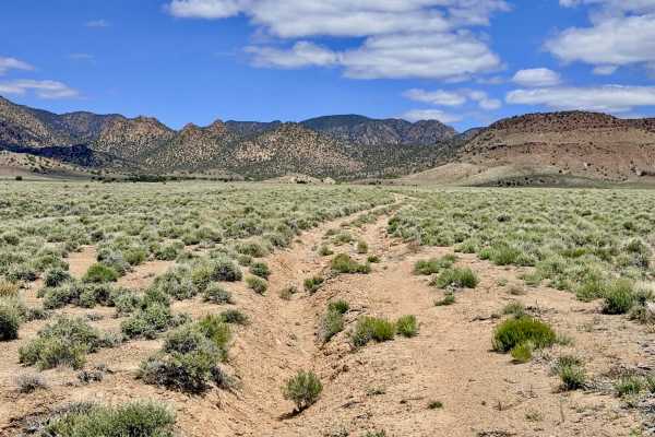 Fourmile Basin Road - FS 44164B