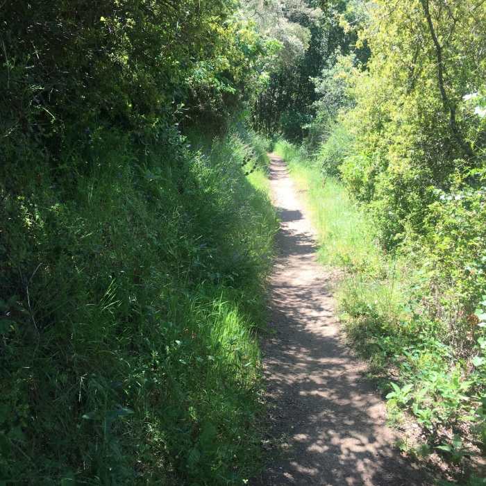 Near Cerro Alto