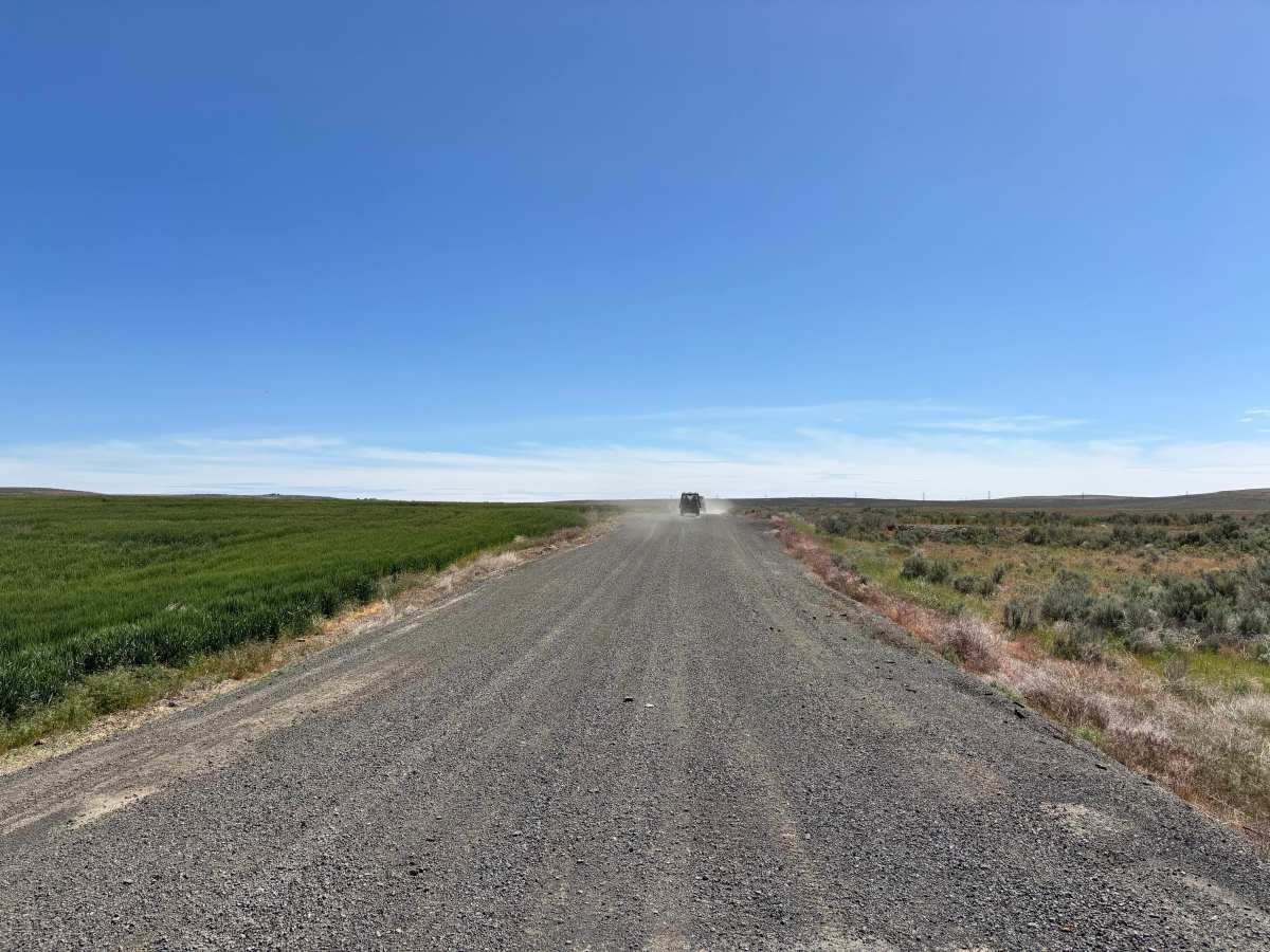 Sagebrush Flats Cattle Trail photo 3