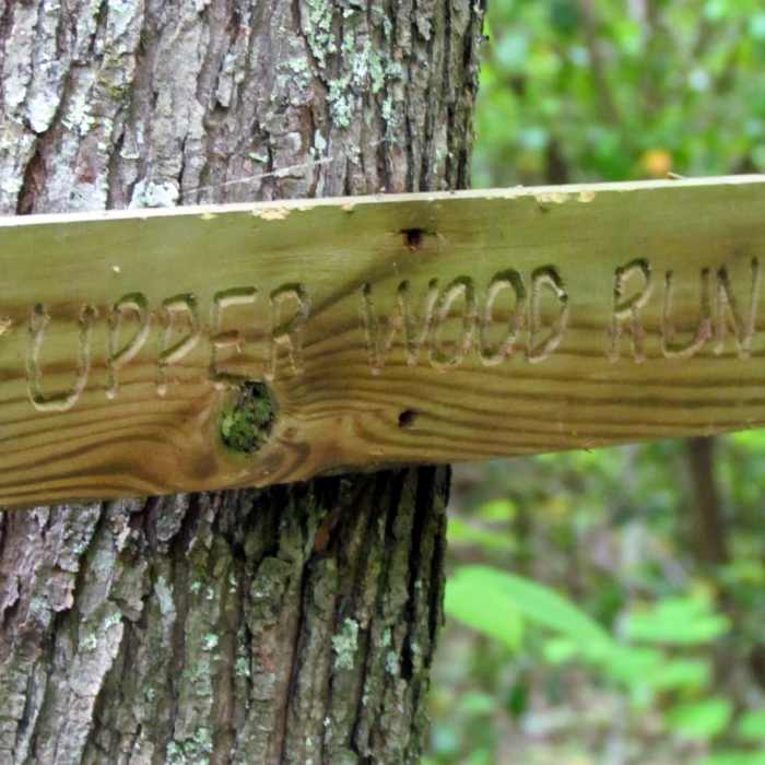 Near Dutchman's Creek Trail #98