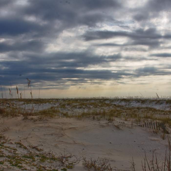 Bon Secour National Wildlife Refuge Near Pine Beach Trail