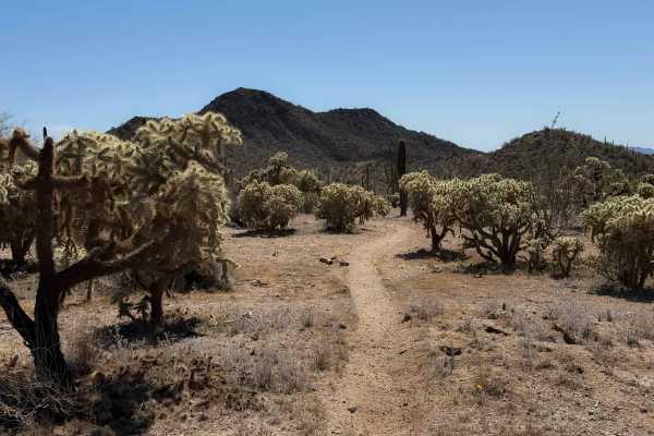 Bh1278 Singletrack 