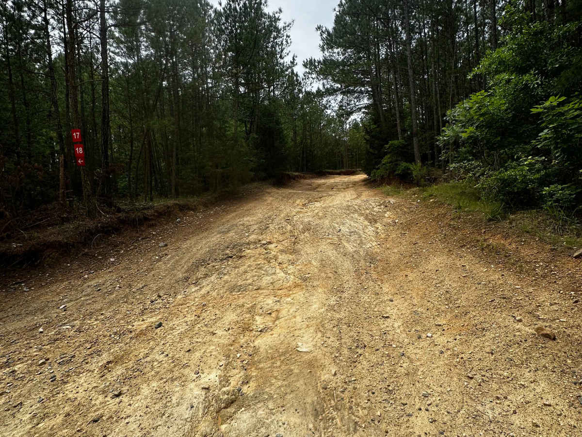 Service Road 17 (SR 17) photo 5