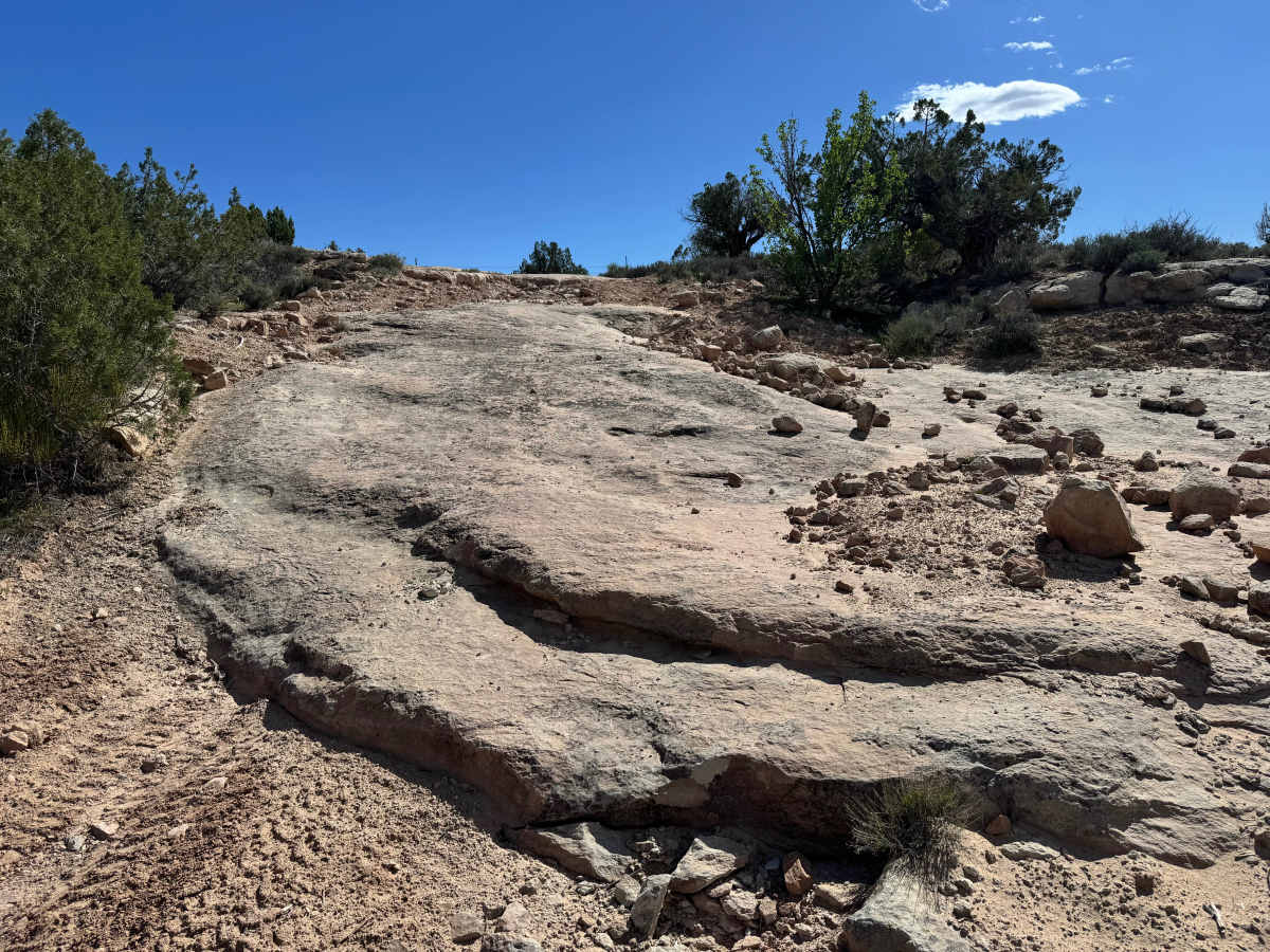 Cisco Claymore Hills Canyon trail photo