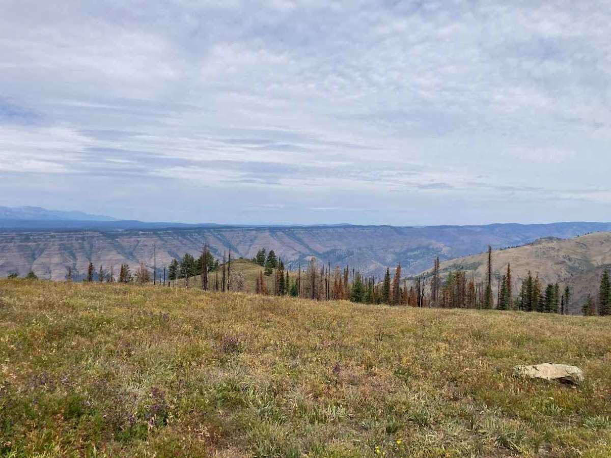 Horse Mountain Fire Lookout photo 4