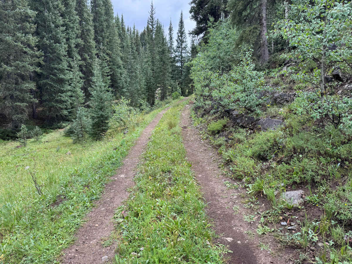 Molas Pass photo 5