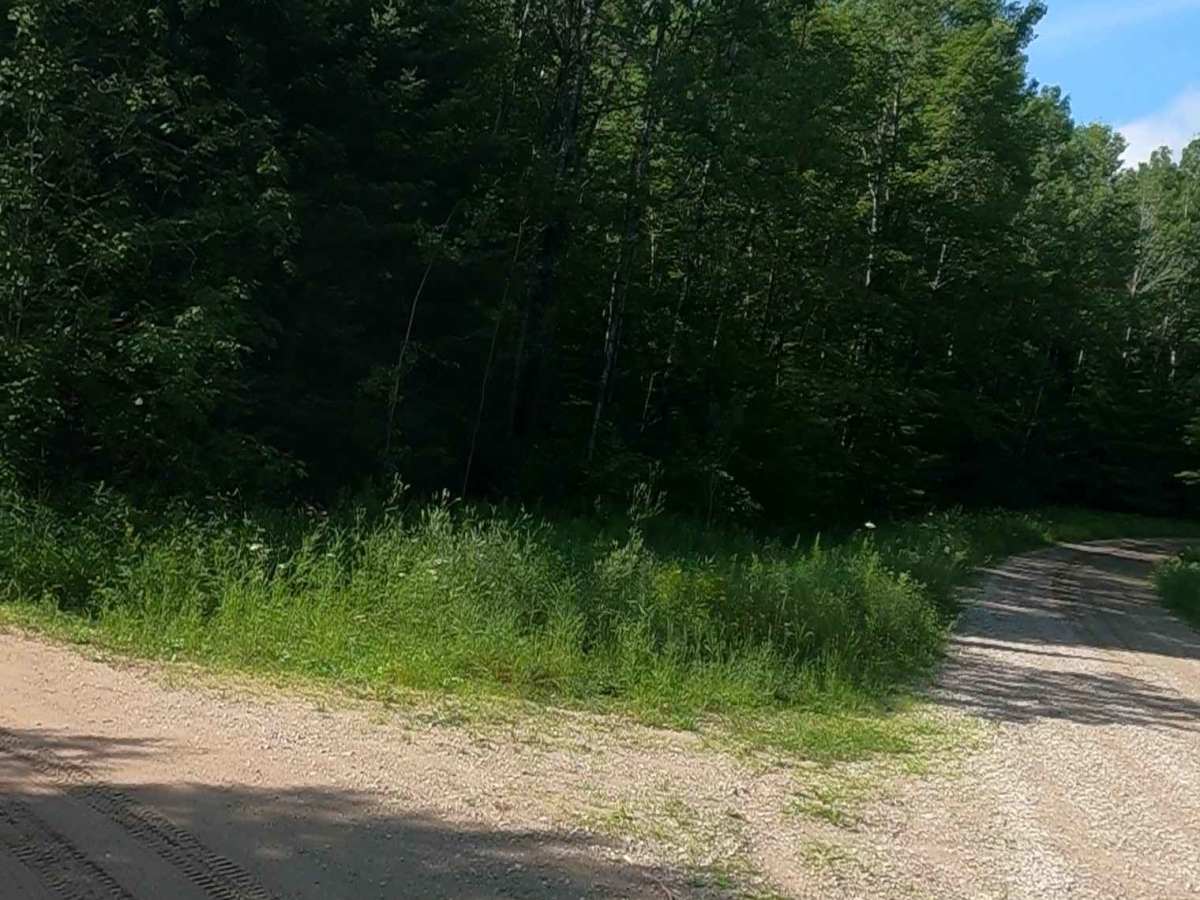 Little Black River Spur C (FSR 2233C) photo 2