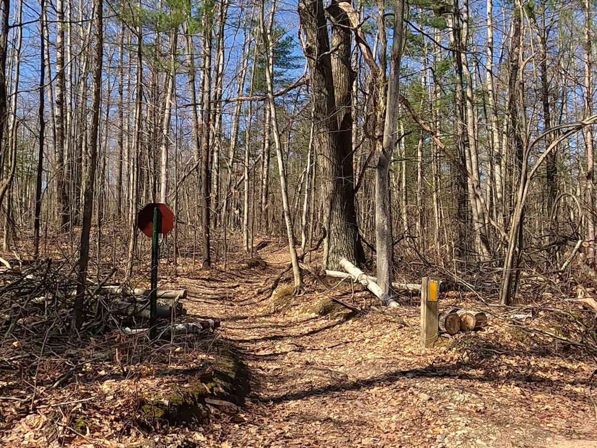 ORV H-57 : Mack- Old Baldy Trail photo 5