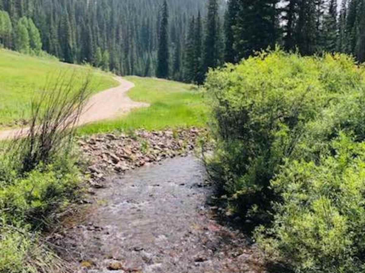Little Cimarron Creek photo 2
