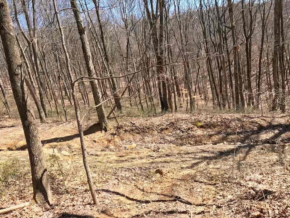 W22A trail photo