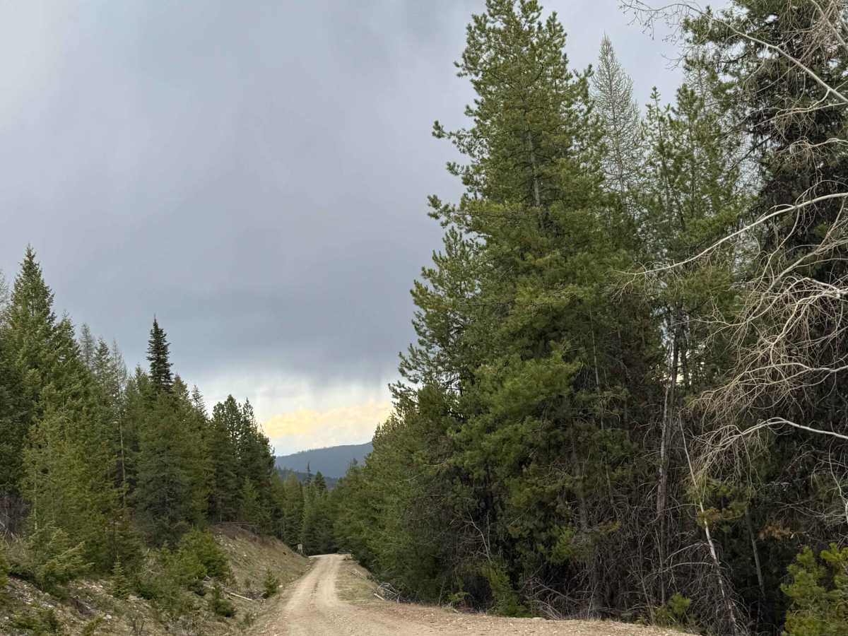 South Boulder - FS 6110 photo 4