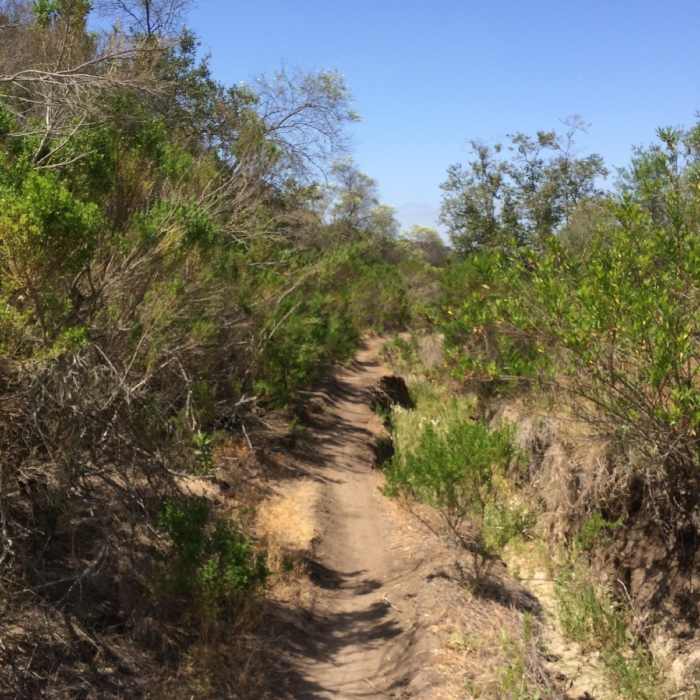 Near Santa Monica Ridge Trail