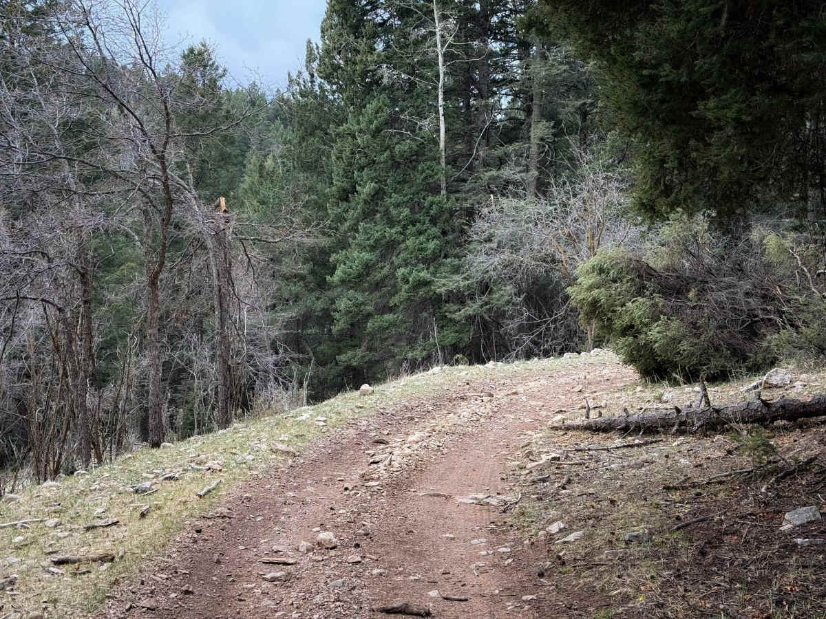 Benson Canyon Spur - FS 5005A  photo 5