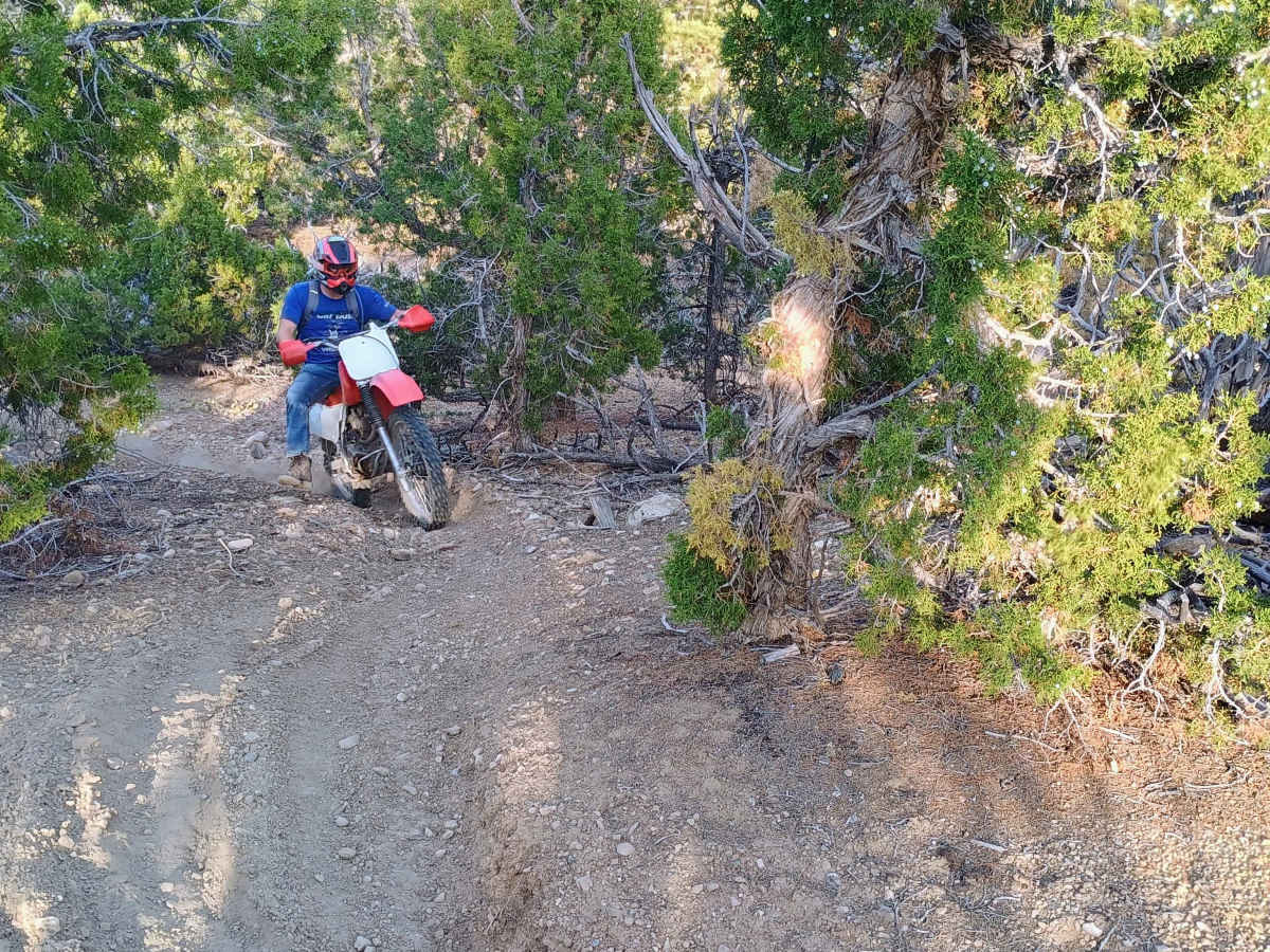 Deadman Canyon Loop photo 3