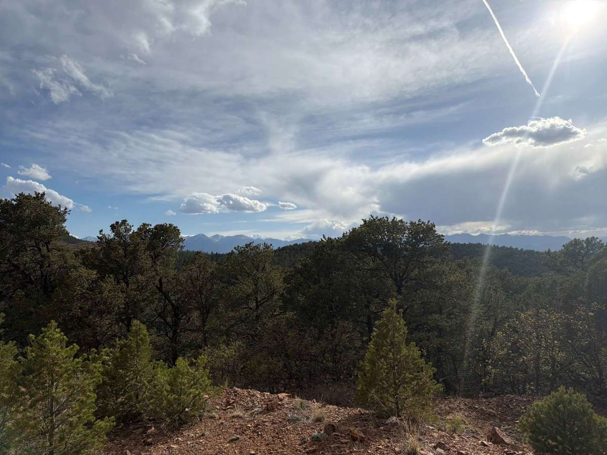 BLM 6170B photo 6