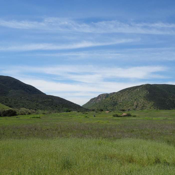 Near Grasslands Loop Trail
