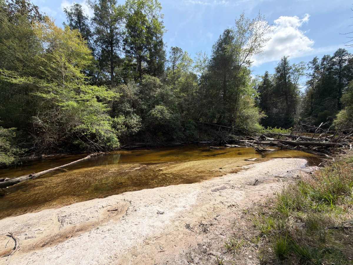 Mashourn Forks Road photo 4