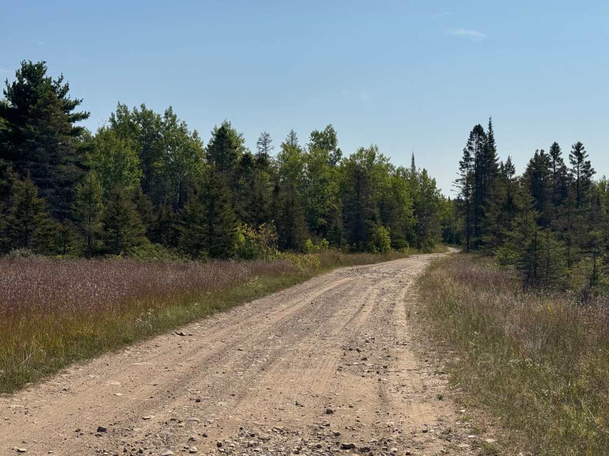 East Colton Bay  trail photo