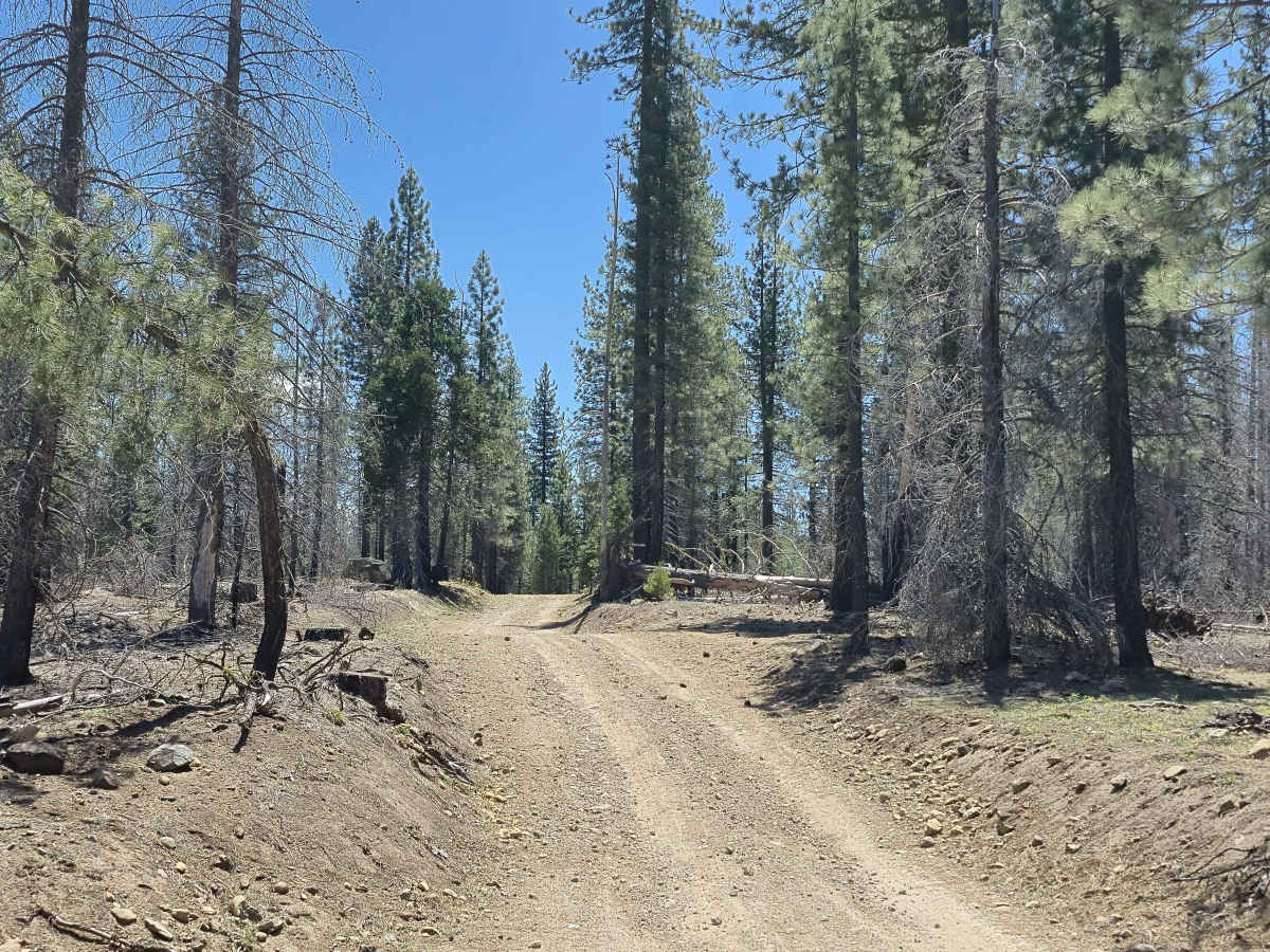 Alder Creek - FS 11N46 photo 6