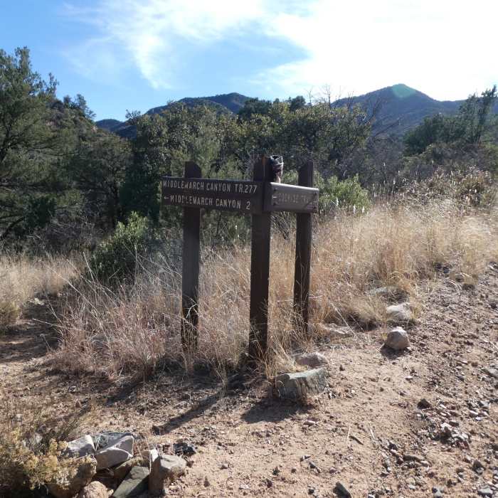 Near Middlemarch Canyon Trail #277